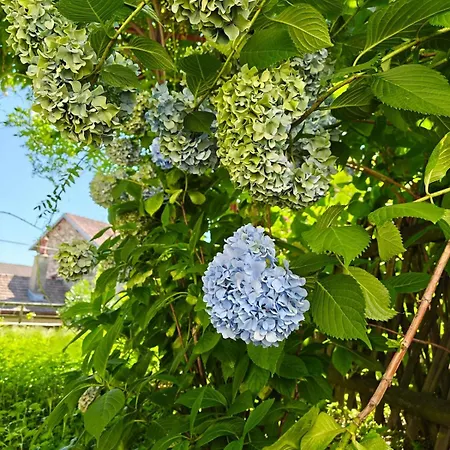 Prázdninový dům And Garden Nestled In Ameno