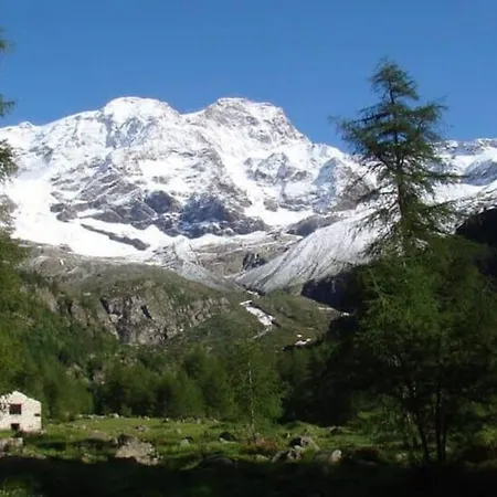 And Garden Nestled In *