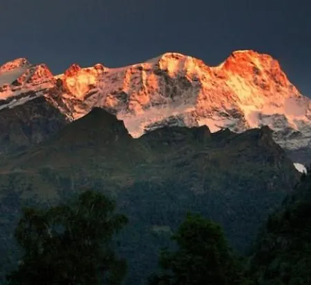 And Garden Nestled In Hébergement de vacances Ameno