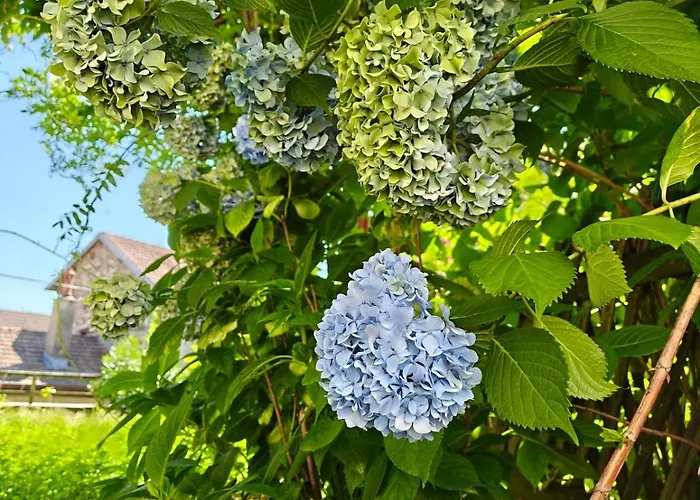 Сasa de vacaciones And Garden Nestled In Ameno